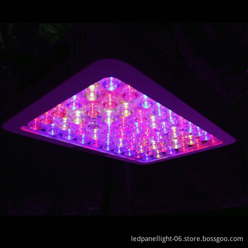 LED Grow Light 300W Full Spectrum Plant Grow Lamp for Indoor Greenhouse Garden Plants Veg and Flowering
